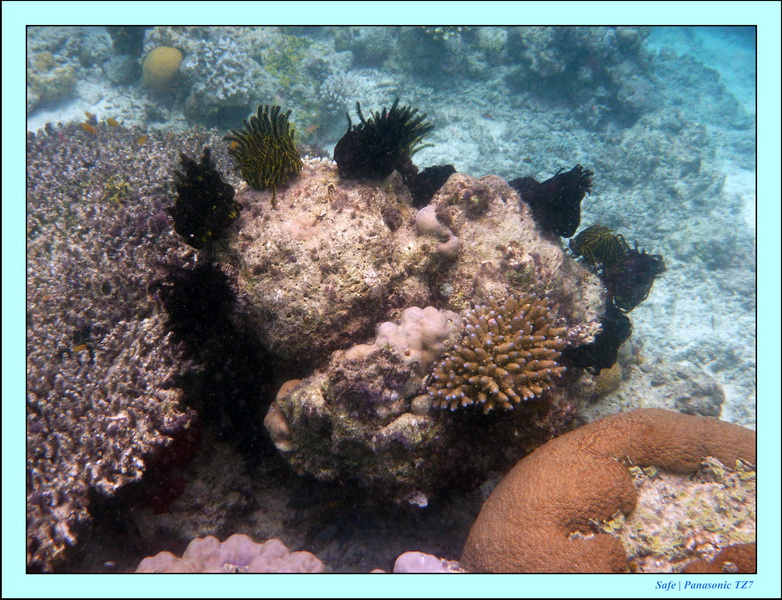 2009   07   Matakin 37